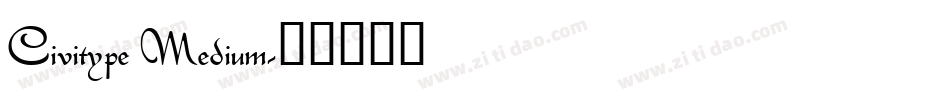 Civitype Medium字体转换